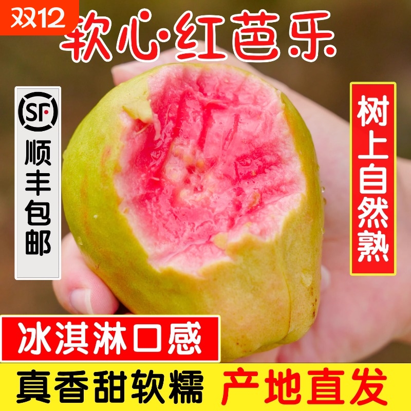 新鲜芭乐番石榴奶油软心红心芭乐