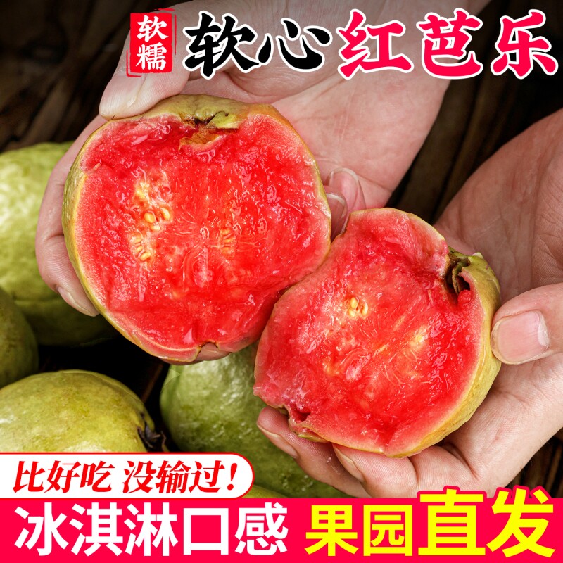 福建软糯红心芭乐番石榴水果新鲜包邮胭脂红草莓巴乐农家院应季