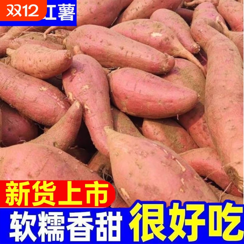 新货红薯新鲜沙地蜜薯龙九地瓜山芋家商用可批发包邮番薯软糯香甜
