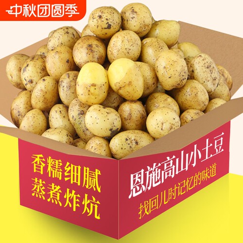 新鲜当季恩施小土豆儿时味道