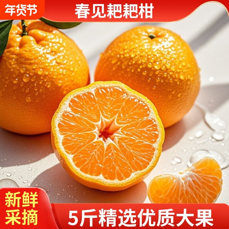包甜正宗四川春见耙耙柑新鲜水果当季整箱橘子特级粑粑柑桔橘子,水产肉类/新鲜蔬果/熟食,桔子,淘宝优惠券,粉丝福利购,淘宝优惠卷
