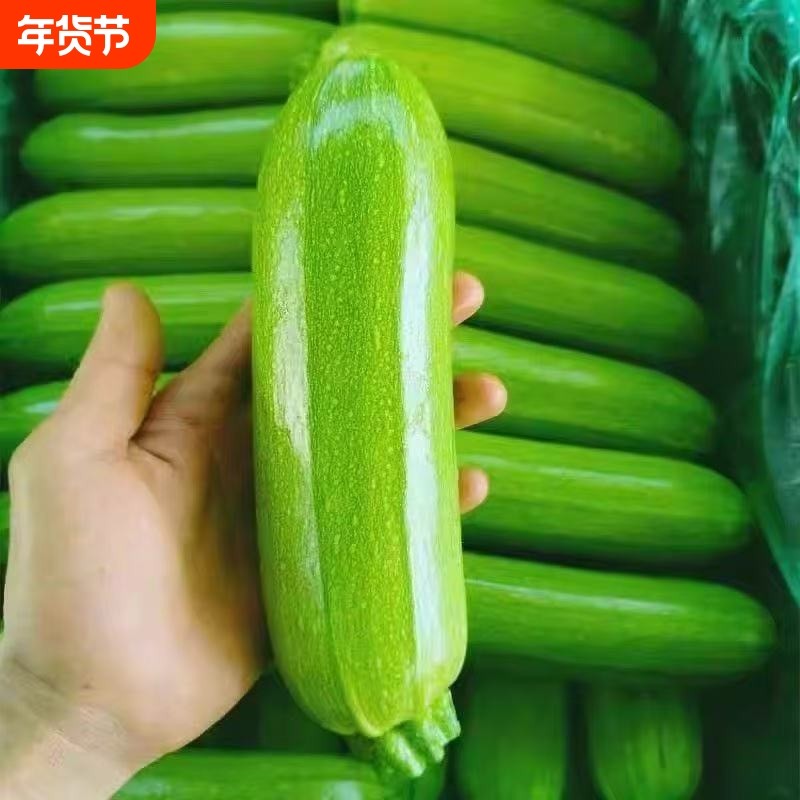 【放心菜】新鲜西葫芦小瓜角瓜三月瓜小南瓜茭瓜绿皮现摘当季蔬菜,水产肉类/新鲜蔬果/熟食,西葫芦,淘宝优惠券,粉丝福利购,淘宝优惠卷