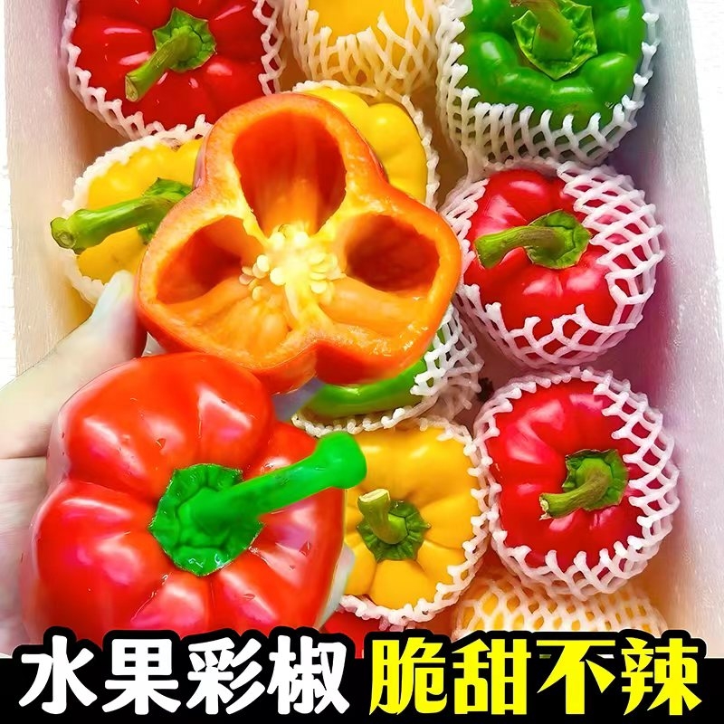 山东寿光彩椒新鲜水果五彩甜椒生吃彩红黄绿辣椒圆椒青椒沙拉水果