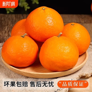 四川春见耙耙柑粑粑柑新鲜当季整箱正宗丑柑橘子10斤采摘无籽鲜果