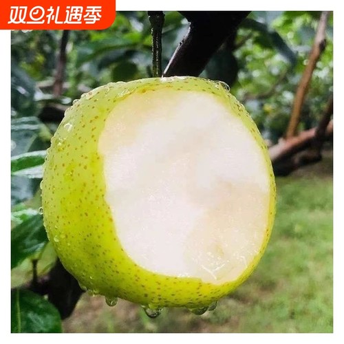 正宗青梨砀山皇冠梨爆甜无渣新鲜水果梨子砀山梨甘甜汁香甜多汁