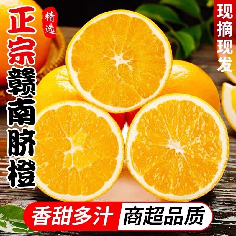 赣南脐橙新鲜江西赣州橙子当季冰糖果冻橙官方旗舰店现摘大果精选