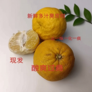 很酸湖北臭皮柑自然生长遍地有新鲜酸抛柑当季时令水果酸柑子