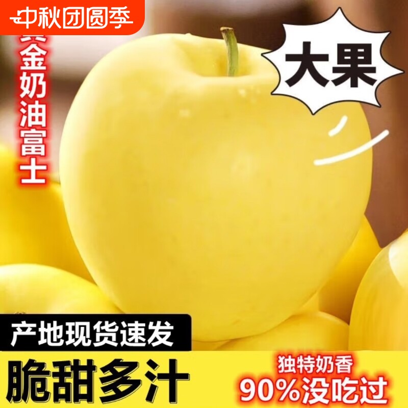 山东黄金奶油富士苹果爆汁脆甜新鲜水果当季采摘纯天然无公害批发图片
