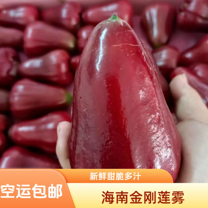 顺丰高端品种海南黑金刚莲雾水果莲雾果新鲜大果年货送礼品礼盒装