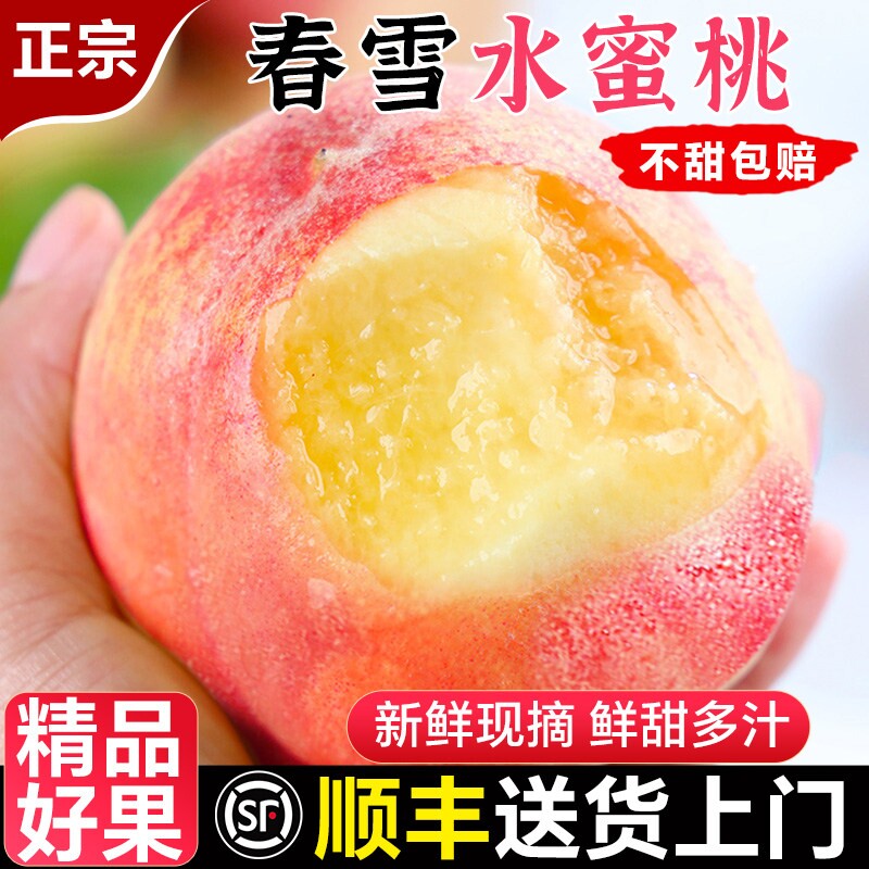 正宗春雪水蜜桃新鲜水果桃子当季整箱礼盒现摘5斤脆桃子顺丰包邮
