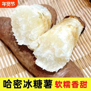 山东哈密冰糖薯农家自种新鲜白心蜜薯沙地糖心红薯地瓜3斤5斤9斤