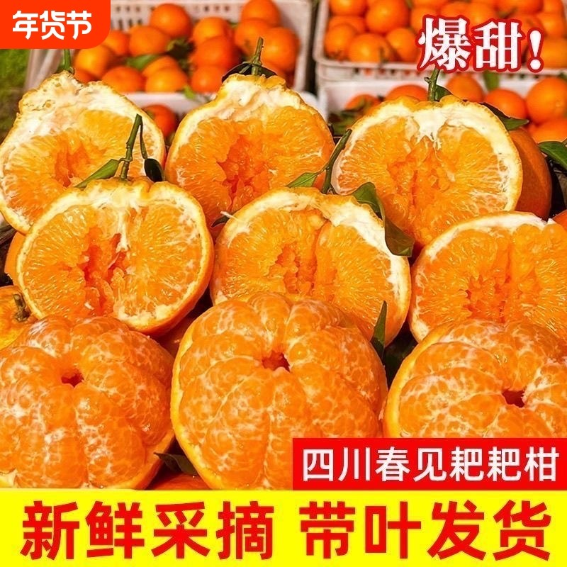 四川春见耙耙柑粑粑柑10斤橘子甜当季整箱杷杷新鲜水果丑柑桔年货,水产肉类/新鲜蔬果/熟食,桔子,淘宝优惠券,粉丝福利购,淘宝优惠卷
