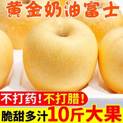 正宗山东烟台栖霞黄金奶油富士苹果礼盒装冰糖心当季新鲜水果脆甜