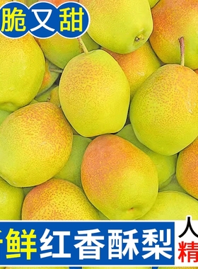 【现摘】红香酥梨当季梨子新鲜水果香梨山西时令脆甜雪梨整箱包邮
