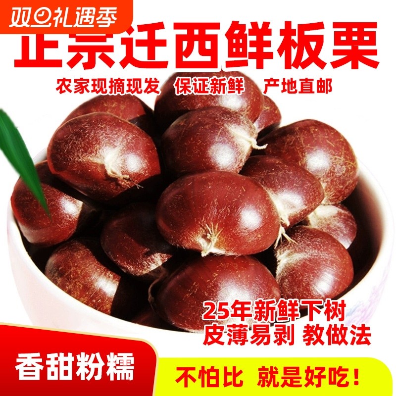2025年正宗河北唐山迁西板栗生新鲜栗子3113燕山油栗子产