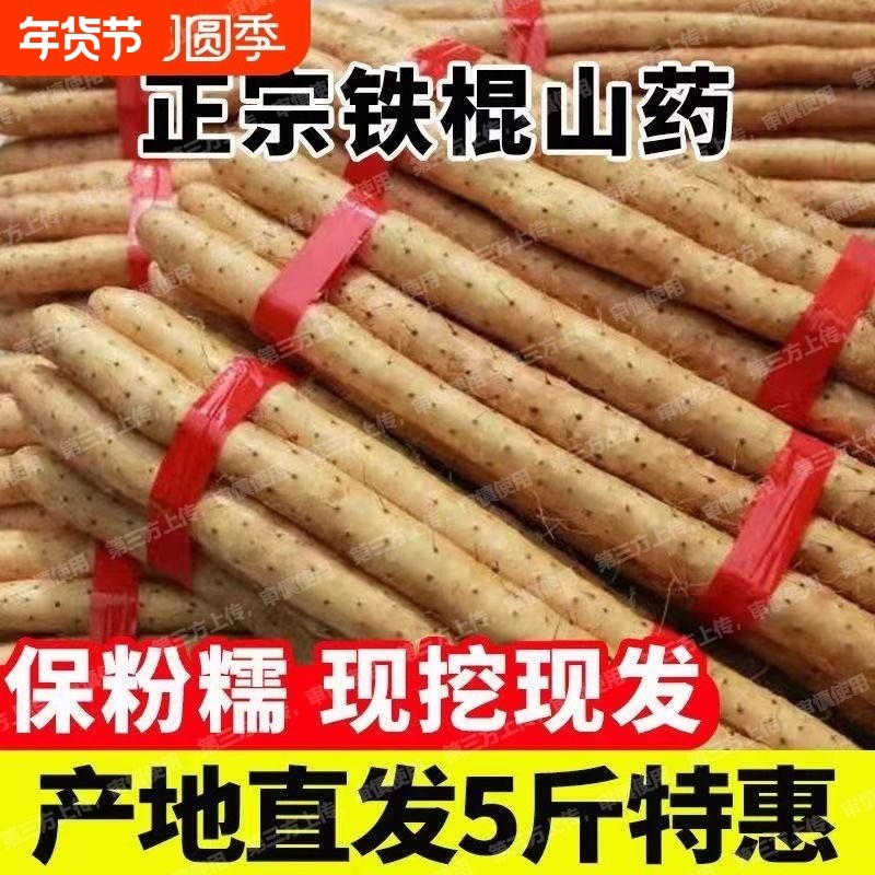 河北正宗铁棍山药铁棍山药新鲜山药软糯香甜产地直发宝宝辅食,水产肉类/新鲜蔬果/熟食,新鲜山药,淘宝优惠券,粉丝福利购,淘宝优惠卷