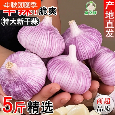 山东金乡新大蒜25年新干蒜蒜味浓