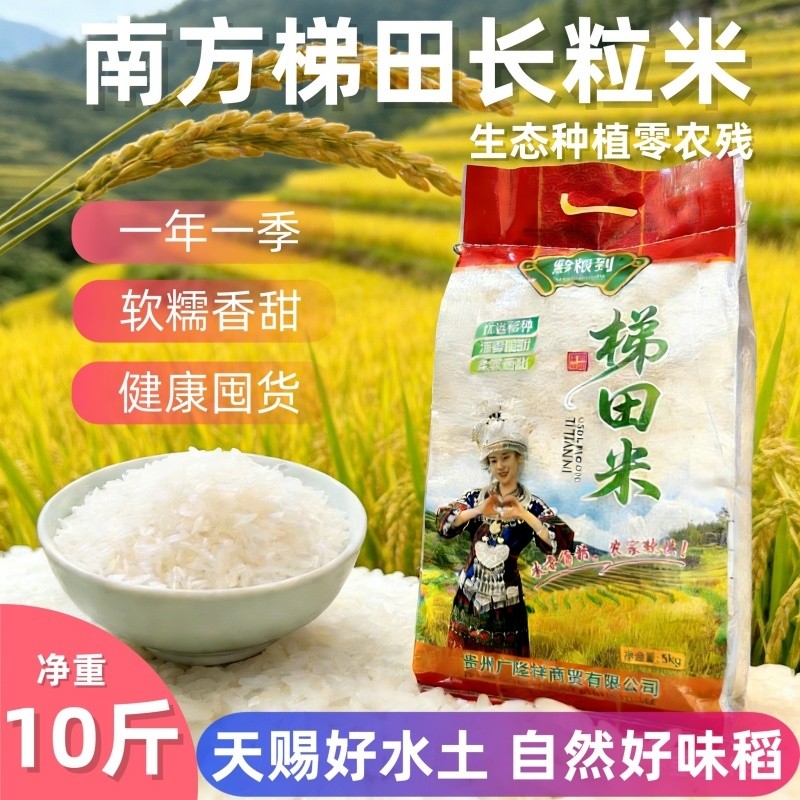 贵州农家长粒香米一级大米当季新米高山优质稻香梯田10斤年货生态