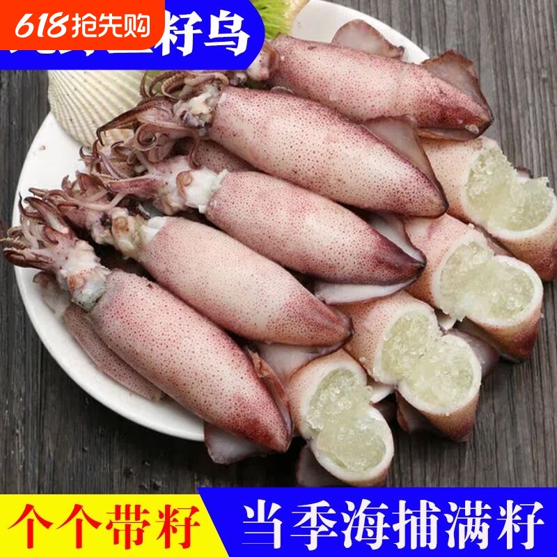 海兔子满籽笔管鱼新鲜带籽籽乌子乌小鱿鱼乌贼生鲜海鲜冷冻货水产