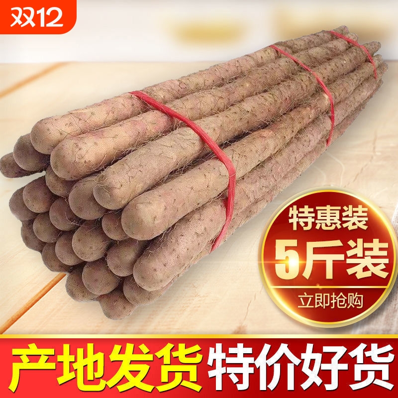 铁棍山药新鲜淮山药铁杆山药小白嘴现挖山药5斤非温县垆土怀山药