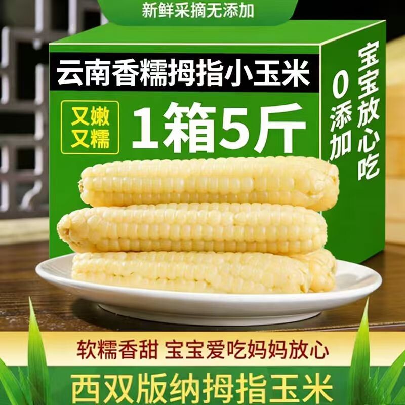 云南拇指玉米西双版纳新鲜甜香糯迷你儿童及即食早餐新货香甜健康