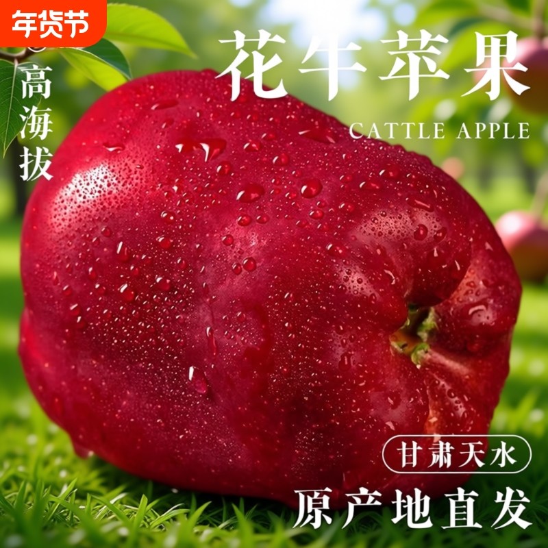 甘肃花牛苹果水果平果粉面丑果孕妇包邮应季新鲜水年货节天水脆甜