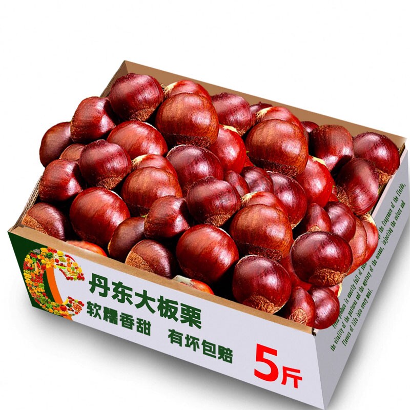 新下树正宗新鲜生现摘丹东板栗栗子锥油栗仁蔬罗田大板栗鲜板栗