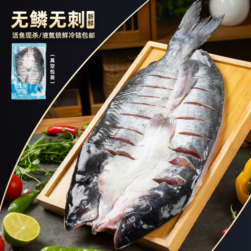 斑点叉尾鮰鱼湖北宜昌