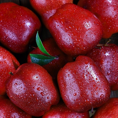 批发价正宗甘肃天水花牛苹果蛇红果小孩老人面粉脆沙甜苹果果子