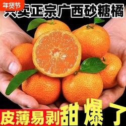 正宗广西桂林沙糖桔当季新鲜水果皮薄沙糖桔橘子甜橘子年货水果儿