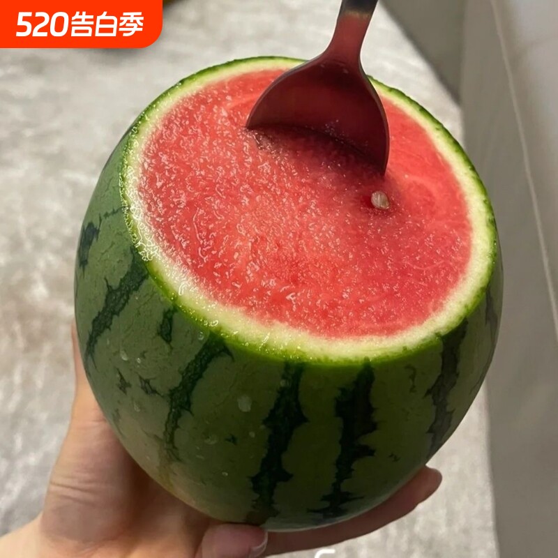 现摘2k西瓜新鲜网红小糖丸西瓜麒麟西瓜特小凤冰淇淋脆甜整箱包邮