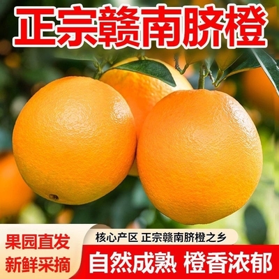 江西赣南脐橙甜蜜多汁现采直发手剥橙子儿童孕妇应季水果皮薄