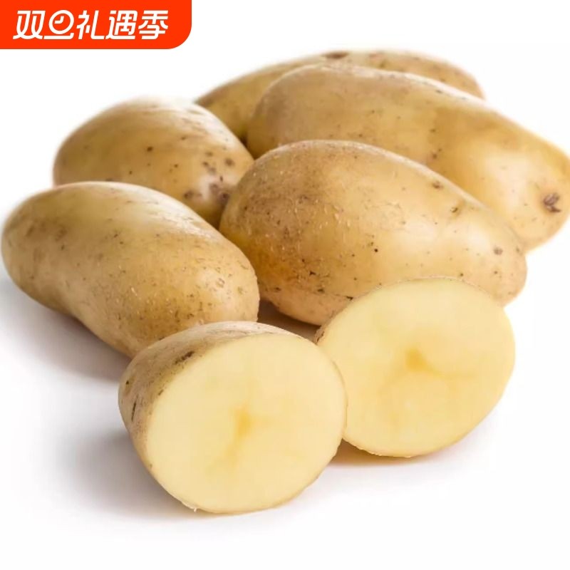 应季新土豆高山黄心土豆甘肃省定西市特产