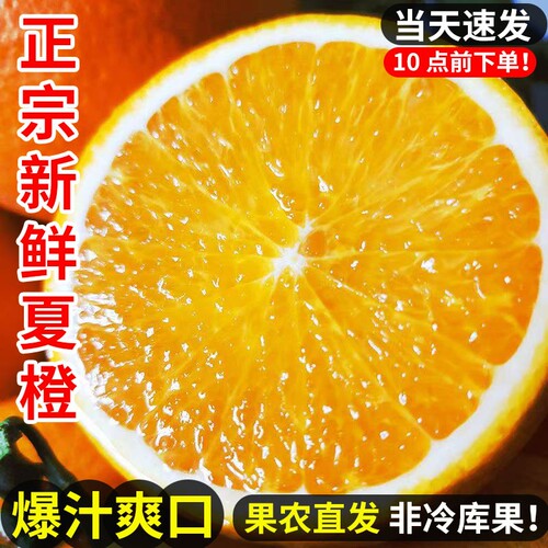 正宗秭归夏橙脐橙橙子新鲜果园批发大果手剥当季时令水果精品现摘