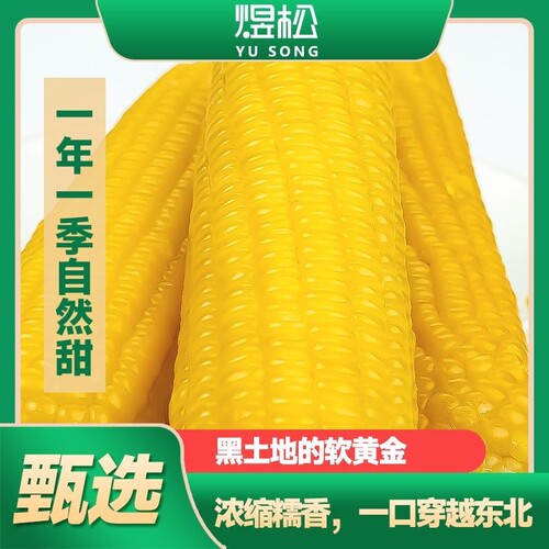 东北黄糯玉米软糯香甜真空包装
