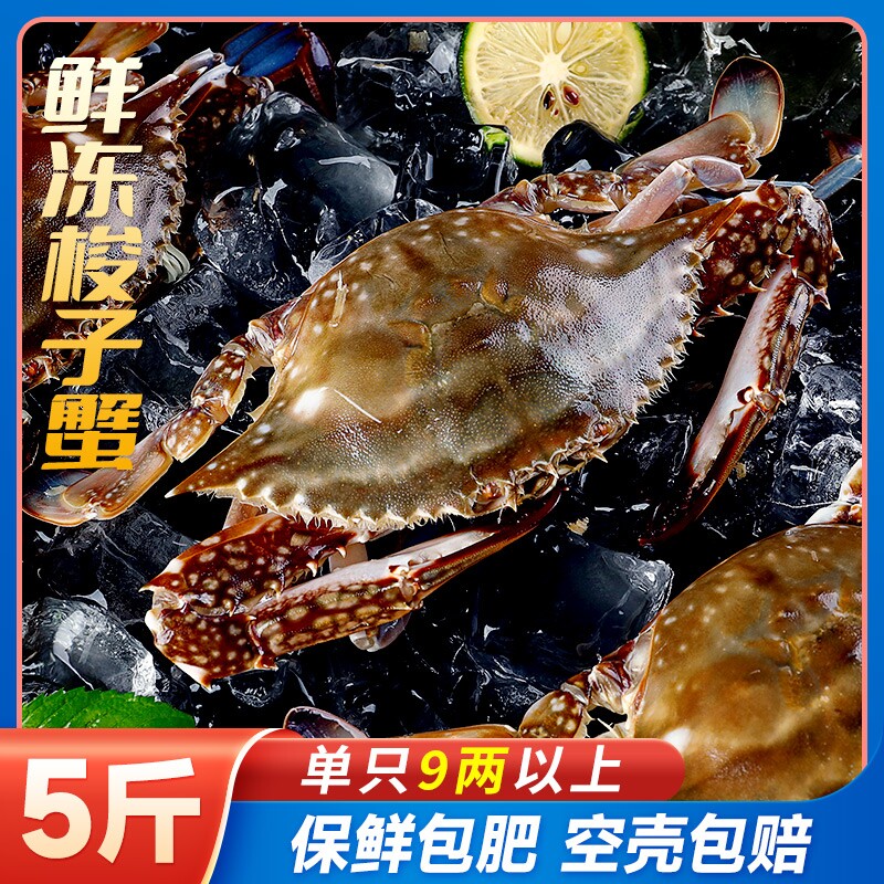 舟山新鲜梭子蟹活冻特大野生海鲜大螃蟹冷冻海蟹水产飞蟹白蟹公蟹
