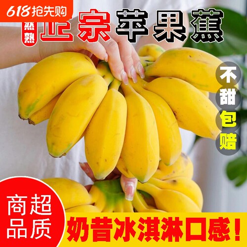 补贴香蕉福利正宗广西苹果蕉粉蕉新鲜应季水果现摘现发大果自然熟