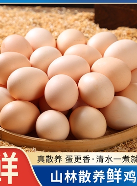 鸡蛋农家散养新鲜土鸡蛋现捡谷物柴鸡蛋营养鲜鸡蛋月子蛋