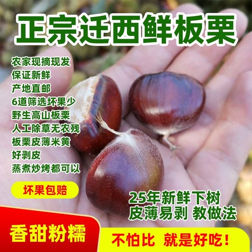 25年新货迁西板栗3113炒货100斤批发糖炒商用油栗生板栗子新鲜313