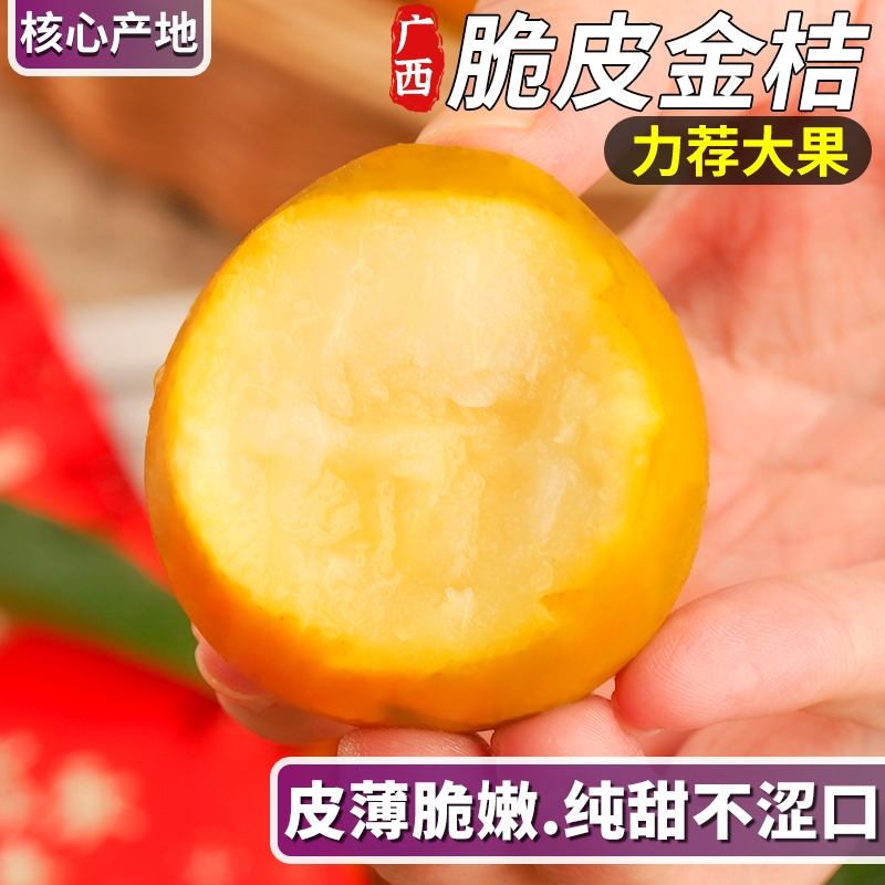 脆皮金桔广西融安脆甜不涩口