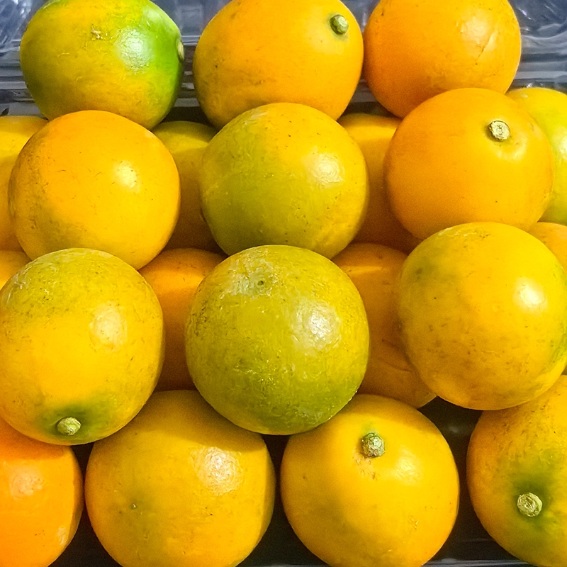 现货广西融安脆蜜金柑大果三代金桔3斤 超甜新鲜水果礼盒顺丰包邮