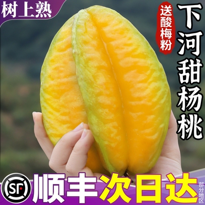 顺丰 福建漳州甜杨桃5斤大果新鲜水果洋桃鲜果红龙扬桃五角星阳桃