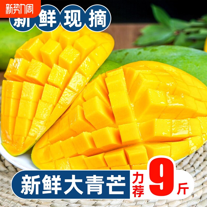 越南新鲜大果进口玉芒当季生吃青芒果现摘新鲜大芒果包邮热带8斤