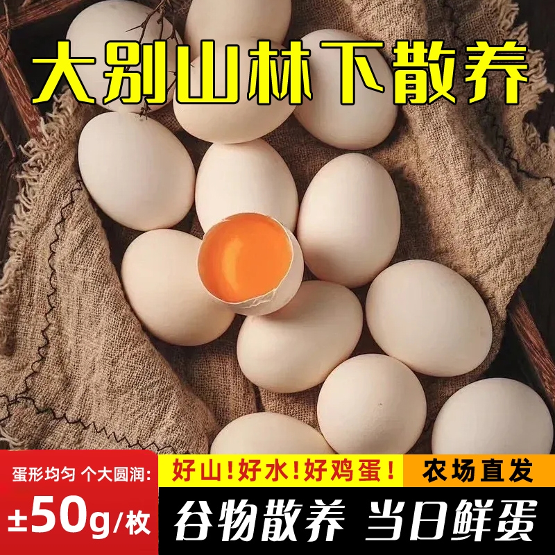 散养土鸡蛋新鲜营养美味儿童爱吃