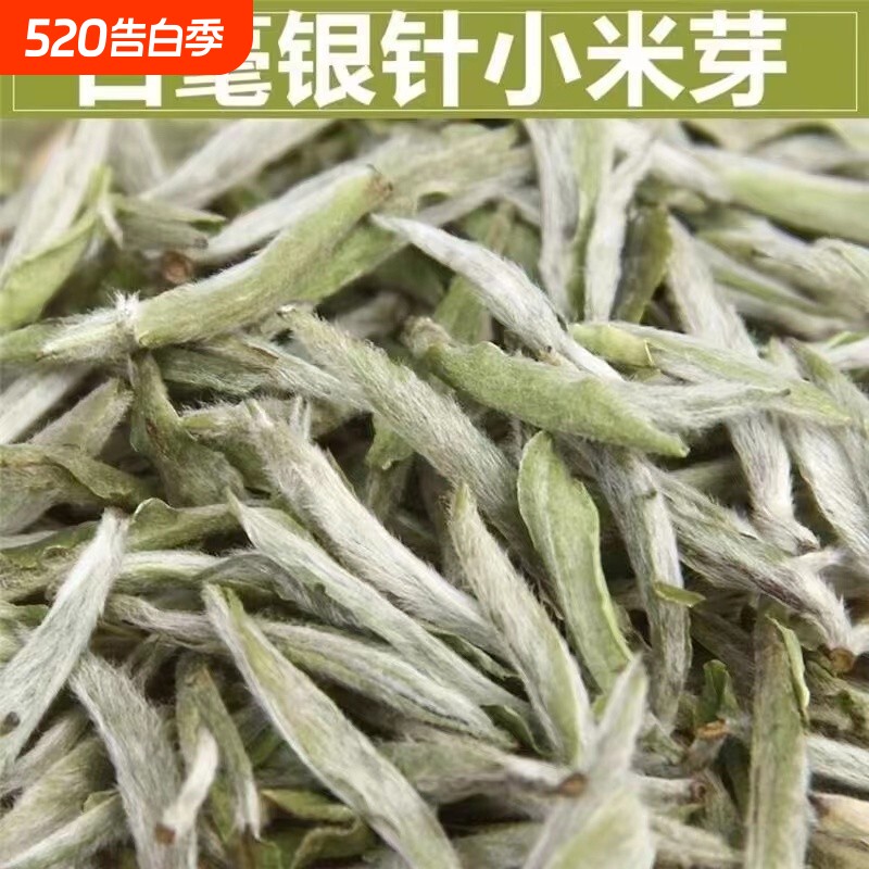 正宗白毫银针福鼎白茶当季新茶茶叶明前特级芽头春茶罐装小米芽