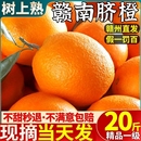 江西赣南脐橙橙子新鲜水果当季 整箱10斤赣州产地直发果冻冰糖甜大