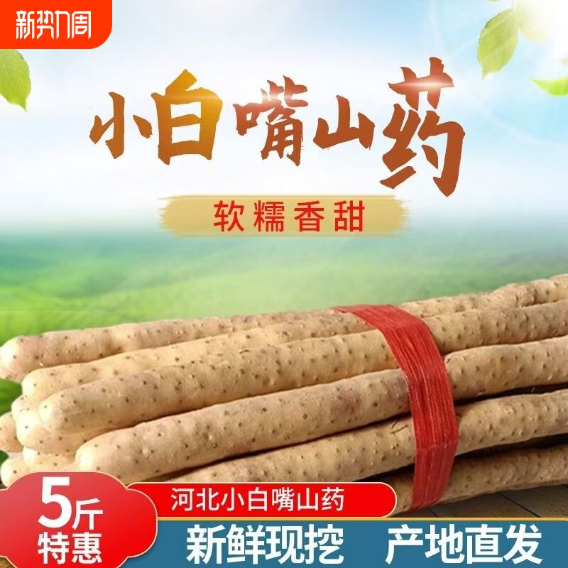 河北正宗小白嘴鲜山药铁棍山药5斤新鲜软糯产地直发宝宝辅食当季