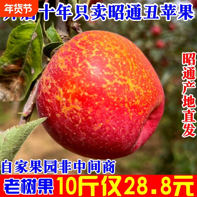 云南丑苹果应当季正宗昭通冰糖心苹果红露红富士新鲜水果年货节,水产肉类/新鲜蔬果/熟食,苹果,淘宝优惠券,粉丝福利购,淘宝优惠卷