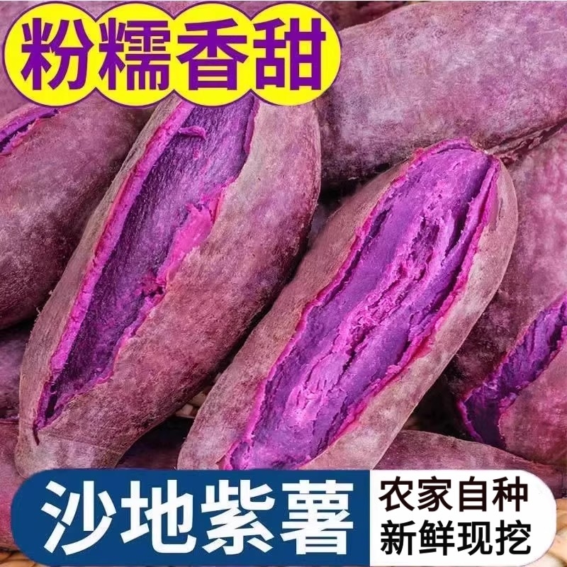 紫薯新鲜板栗红薯番薯地瓜蜜薯糖心山芋蔬菜零添加农家自种