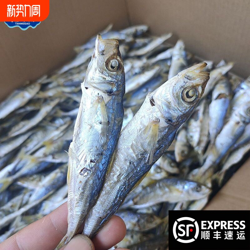 探味岛福建东山岛特产小鱼干巴浪鱼干渔家自晒淡干无盐鲜甜下酒菜